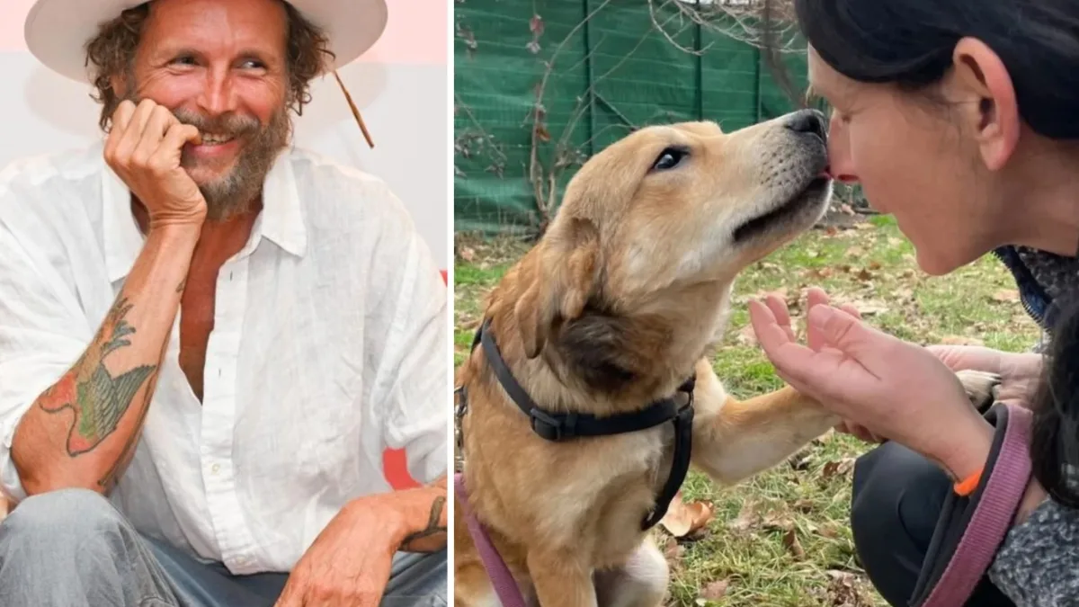 Adozioni di cani e gatti al Jova Summer Party. «Tutti meritano una famiglia, sono ancora troppi gli abbandoni»