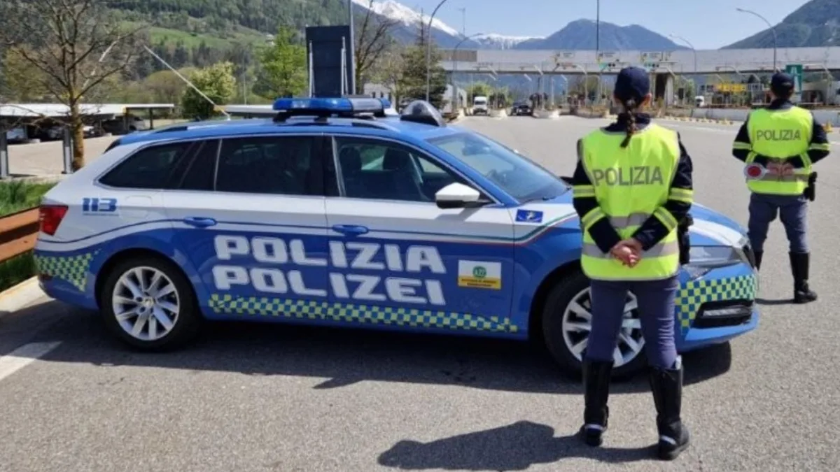 Stipati in quattro box, sette cani muoiono in auto durante il viaggio verso una battuta di caccia in Lapponia
