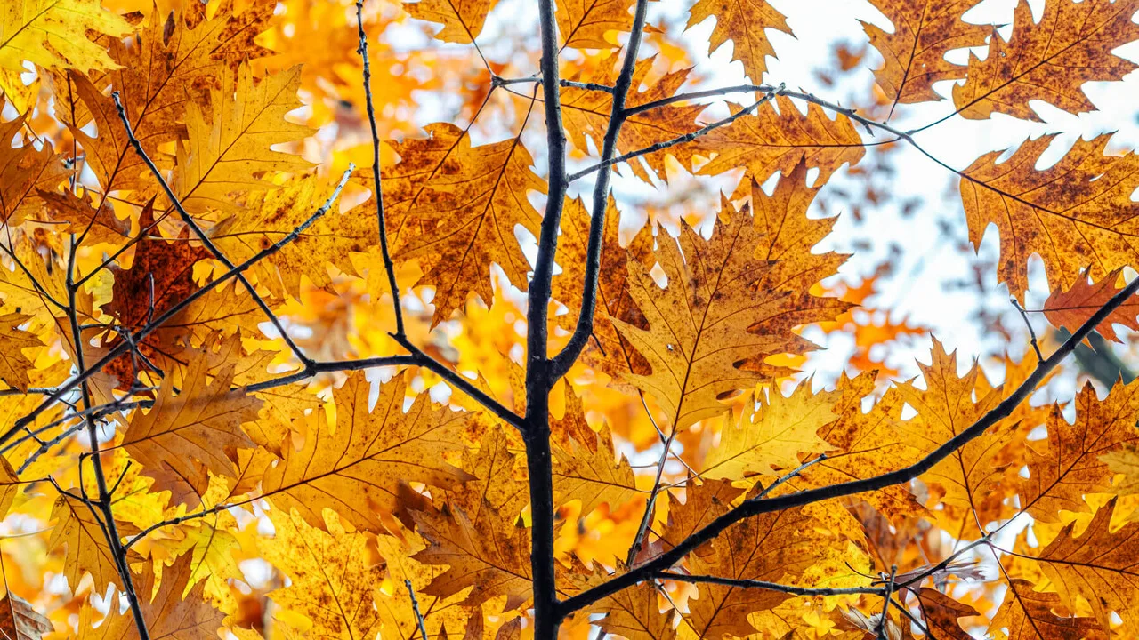 Estate agli sgoccioli, arriva l'equinozio d'autunno