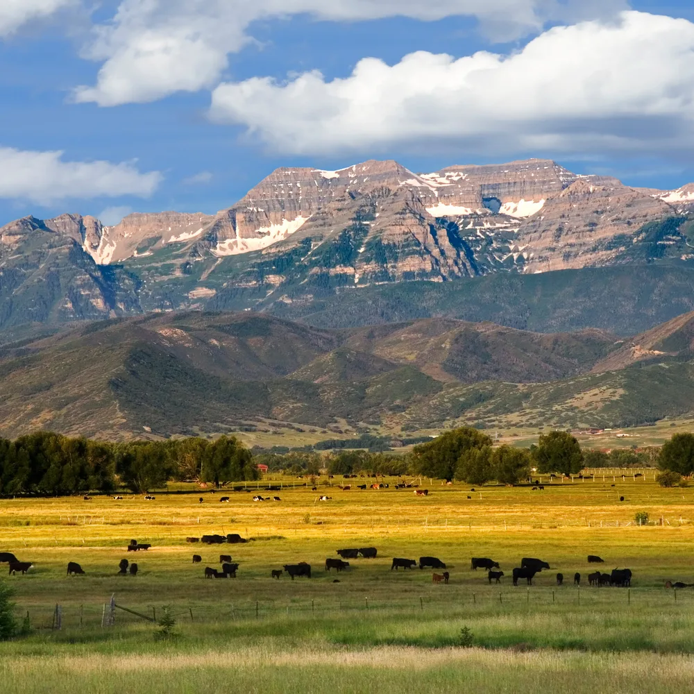 Hiker Dies After Lightning Strikes ‘Tin Shack’ on Utah Mountain