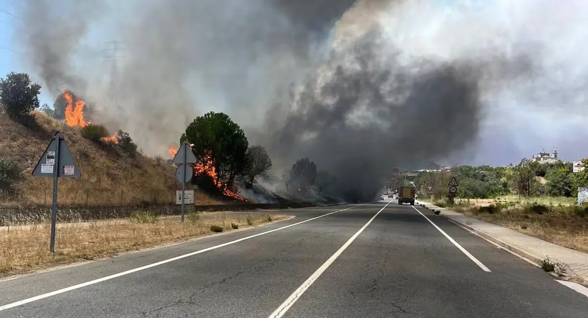 Ayuso proyecta llevar la M-501 como autovía hasta Ávila pese a que cruza tres zonas protegidas