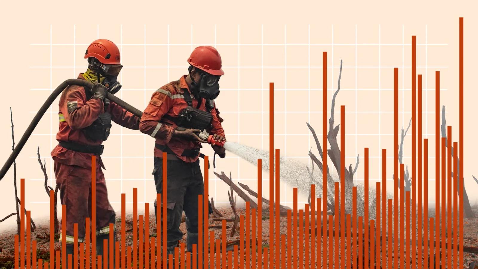 Klimawandel: Wie war der Hitzesommer?