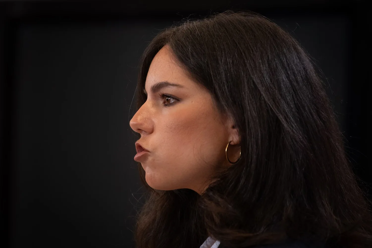 Vox pide al Supremo que suspenda también el voto a los descendientes de exiliados