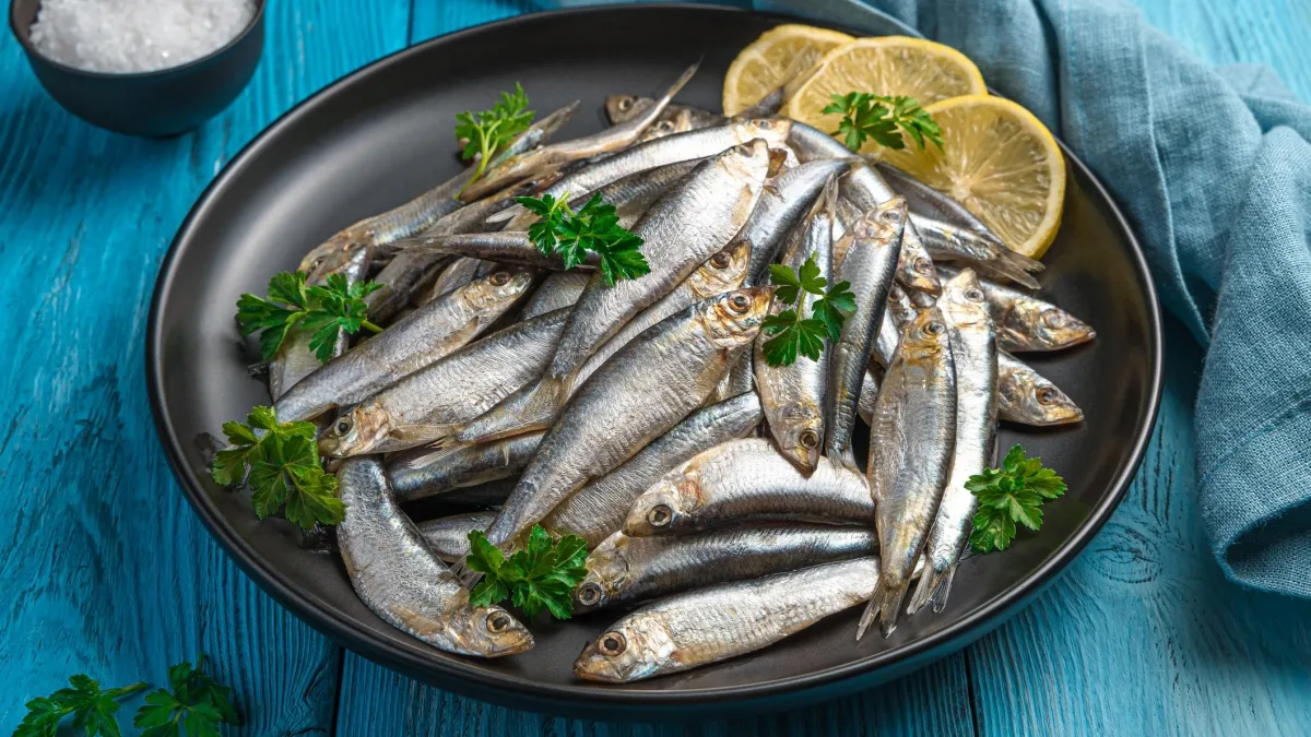 Sardine, perché dovremmo mangiarle più spesso: ecco quali scegliere e le quantità consigliate