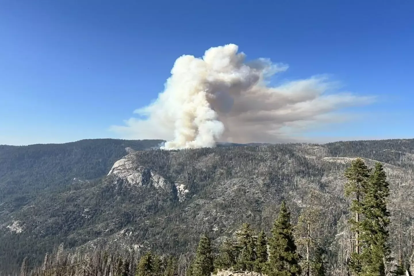 Firefighting helicopter crashes near Yosemite, killing both pilots