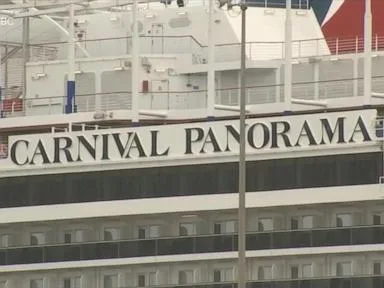 WATCH:  Cruise ship passenger missing after reportedly going overboard