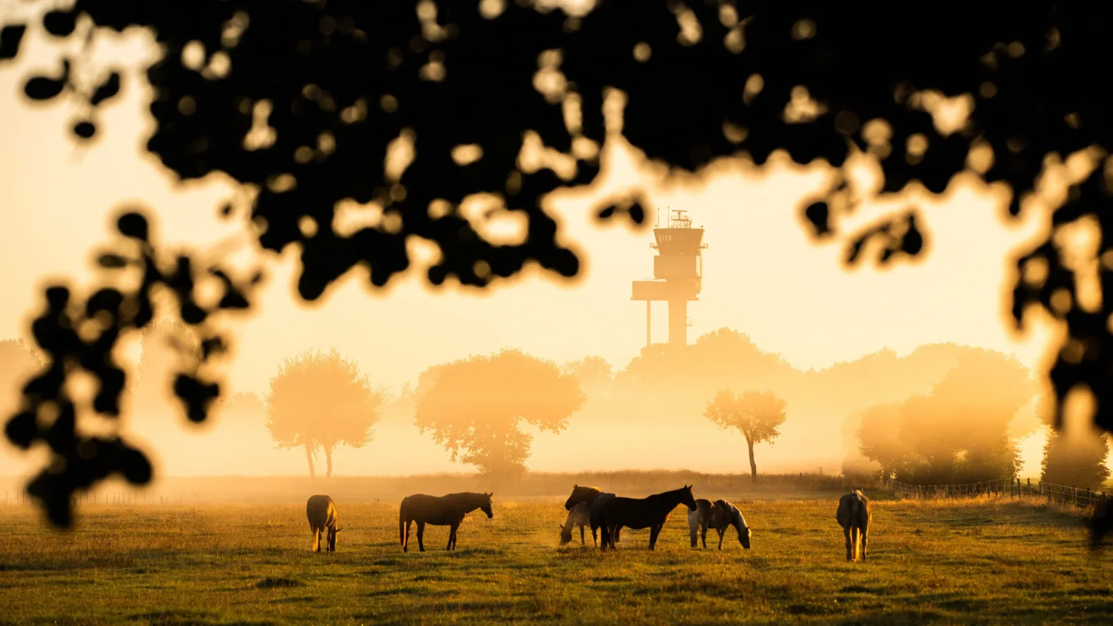 Sommerwetter im Herbst: Knackt Deutschland die 31 Grad?