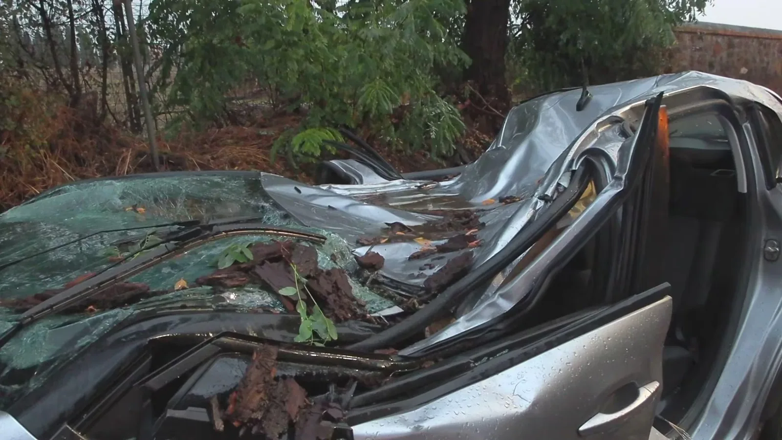 Maltempo a Roma, albero cade su un'auto: ferito l'autista a bordo
