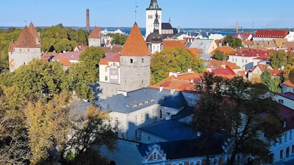 Berlino, l'intelligence: «Rschio di un conflitto con Mosca». FT: «L'Estonia sposta le truppe al confine»Lo Yemen: «Ripreso il controllo di Bab el Mandeb»