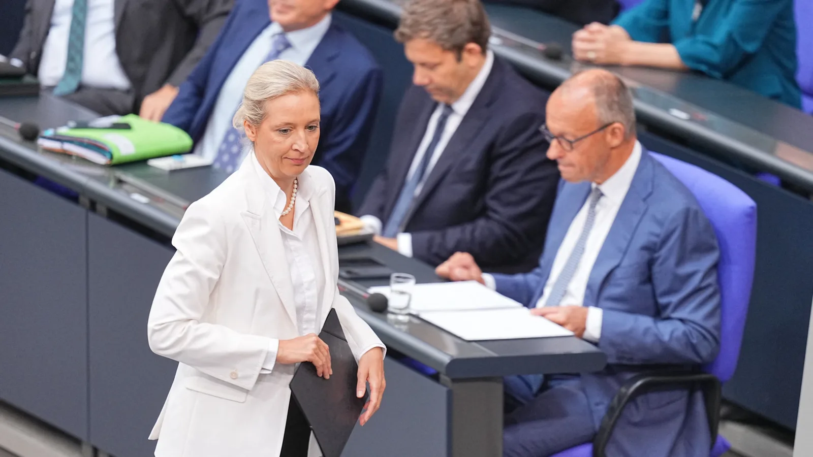 Internes Papier: Was die AfD bei einer Minderheitsregierung der Union tun würde