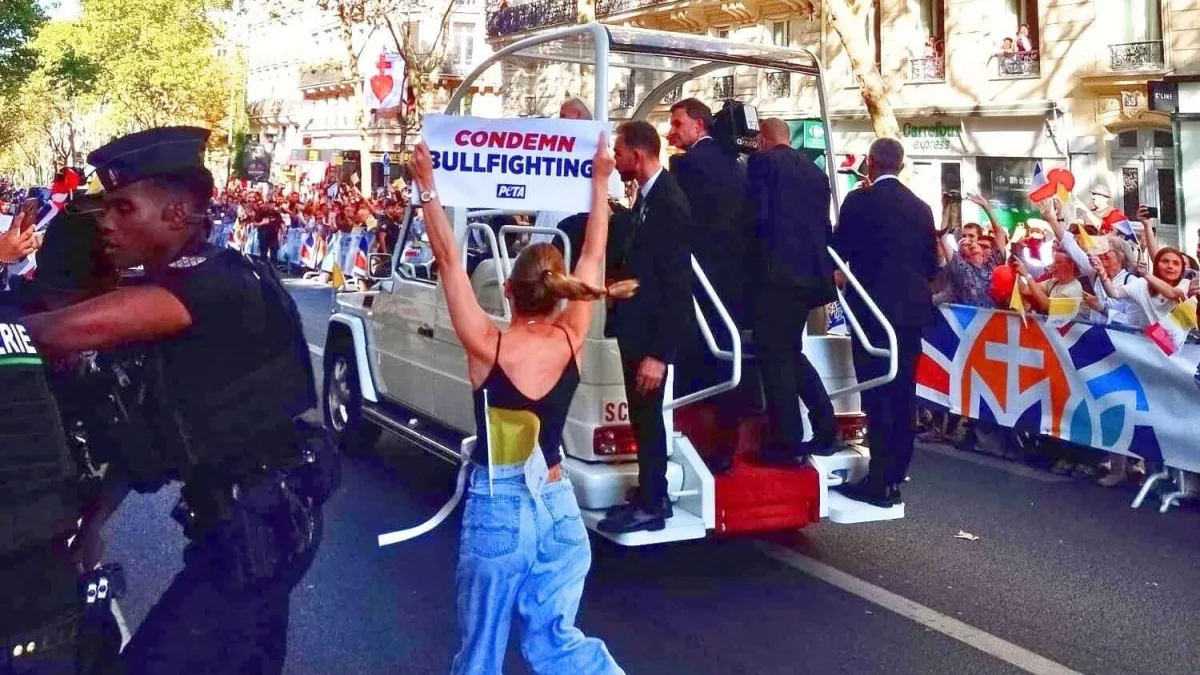 Attivisti Peta bloccano il corteo di Papa Leone a Parigi: «La Chiesa dica basta alla corrida. Troppi sacerdoti la benedicono»