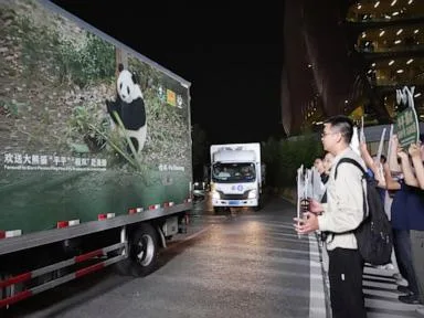 2 giant pandas set off to Atlanta zoo from China after Xi-Trump summit