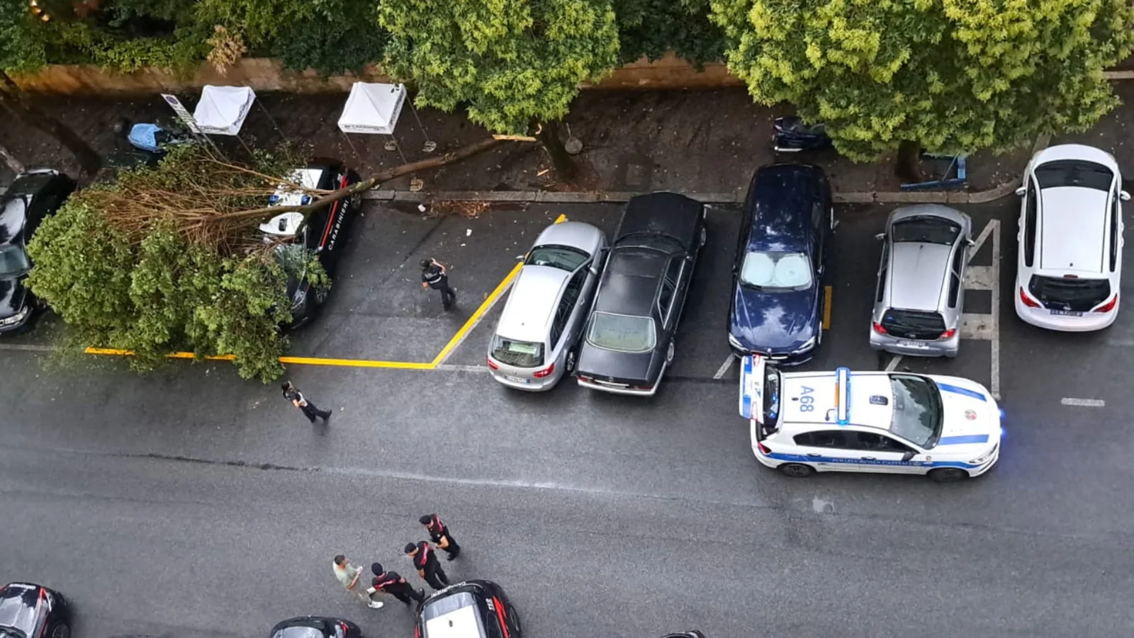 Roma, ramo di un albero cade sull’auto della sorveglianza sotto casa di La Russa: carabinieri illesi