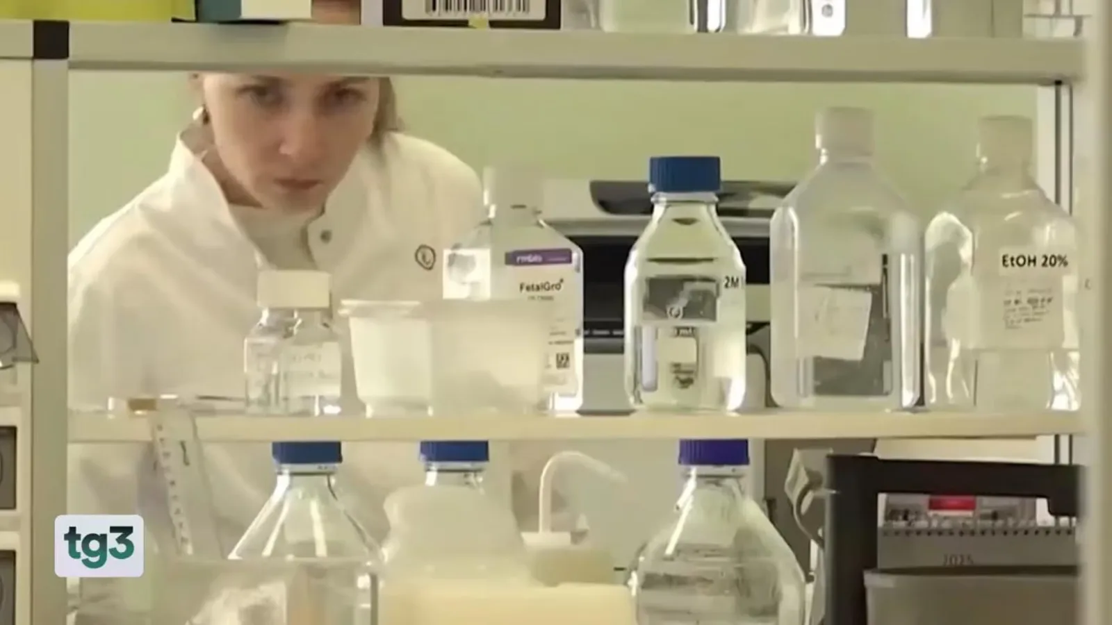 Caso peste in Siberia: l'OMS chiede chiarimenti sulla morte dell'operatrice di laboratorio in Russia