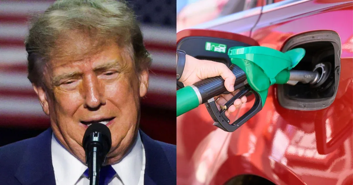 Trump says gas prices will stay high until midterm elections end
