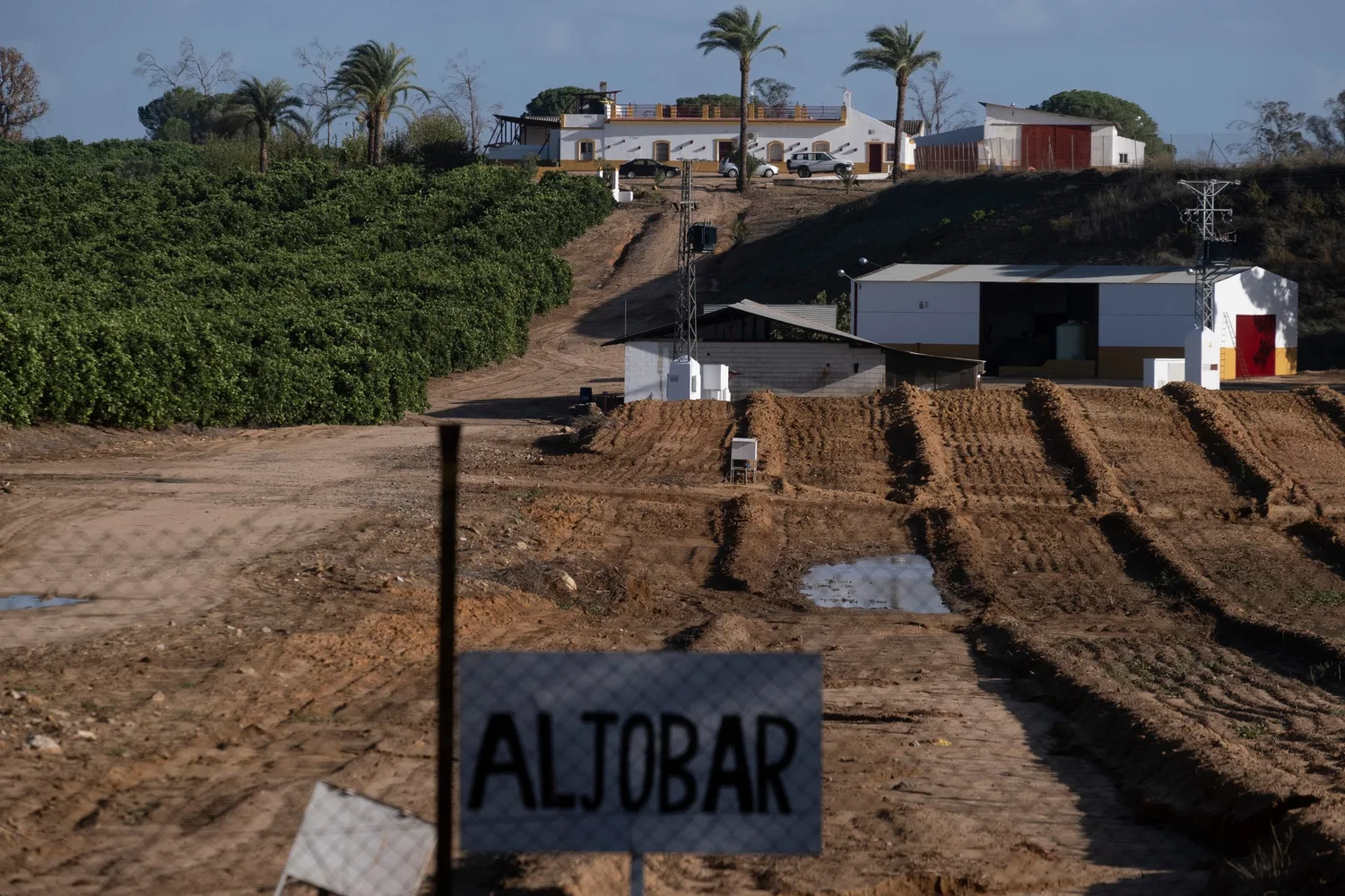 El juez archiva la causa de los pozos de la Casa de Alba junto a Doñana